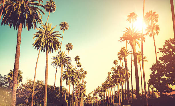 7225 W Sunset Blvd, Los Angeles, CA 90046